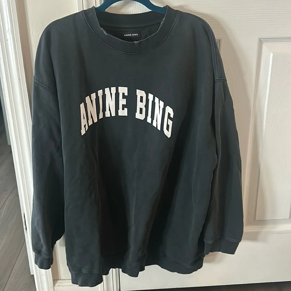 Anine bing Tyler sweatshirt - Picture 1 of 6
